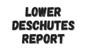 Lower Deschutes Report 10/29/21