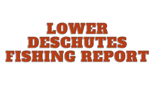 Lower Deschutes Report 11/26/21