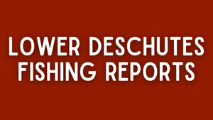 Lower Deschutes Update - 5/6/22