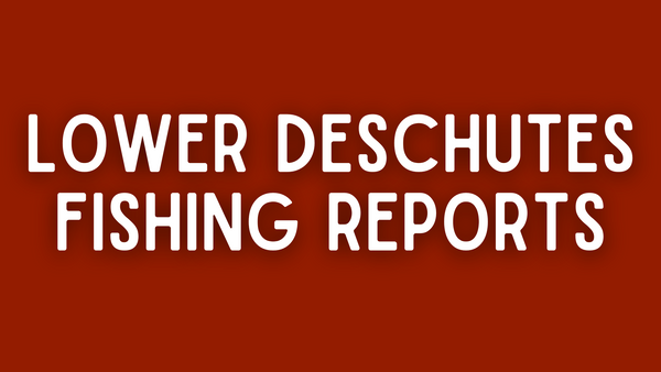 Lower Deschutes Update - 5/6/22