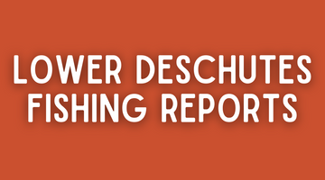Lower Deschutes Update - 5/13/22