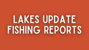 Lakes Update - June 10th, 2022