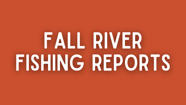 Fall River Update - 5/13/22