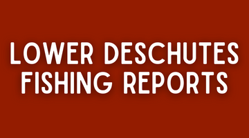 Lower Deschutes Update - 5/27/22