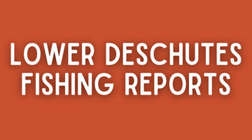Lower Deschutes Update - June 10th, 2022