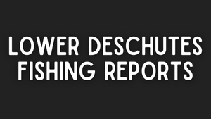 Lower Deschutes Update - 5/20/22