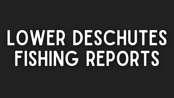 Lower Deschutes Update - 5/20/22