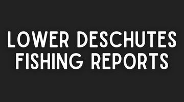 Lower Deschutes Update - 5/20/22