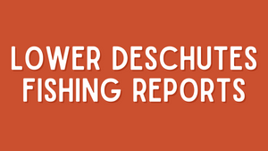 Lower Deschutes Update 4/29/22