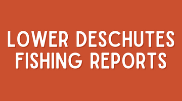 Lower Deschutes Update 4/29/22
