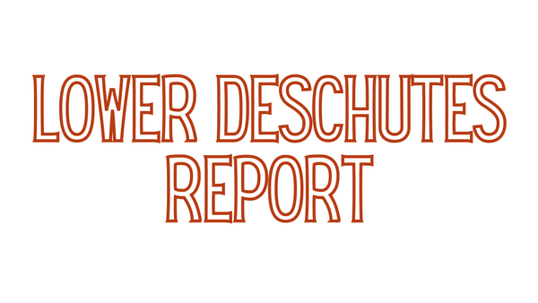 Lower Deschutes Report 11/12/21
