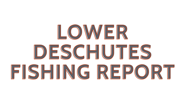 Lower Deschutes Report 12/10/21