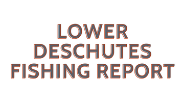 Lower Deschutes Report 12/10/21