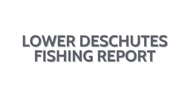 Lower Deschutes Update March 24, 2023