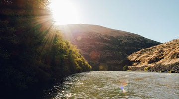 A Changing Season - Photos, Reports, and Swag!