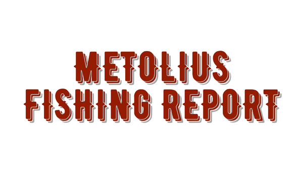 Metolius River Report – October 17, 2025