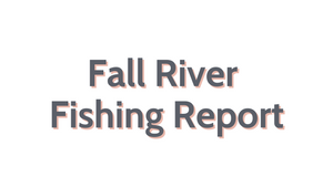 Fall River Update November 11, 2022