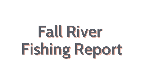 Fall River Update November 11, 2022
