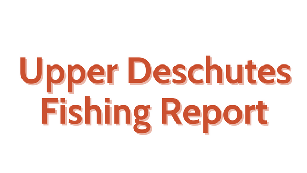 Upper Deschutes Update July 22, 2022
