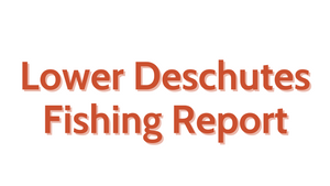 Lower Deschutes Update July 22, 2022