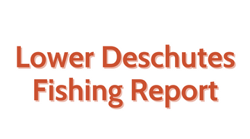 Lower Deschutes Update July 22, 2022