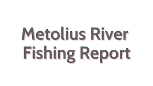 Metolius River Update November 11, 2022