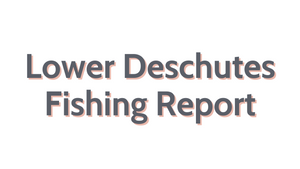 Lower Deschutes Update November 11, 2022