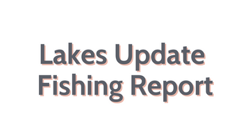 Lakes Update November 11, 2022
