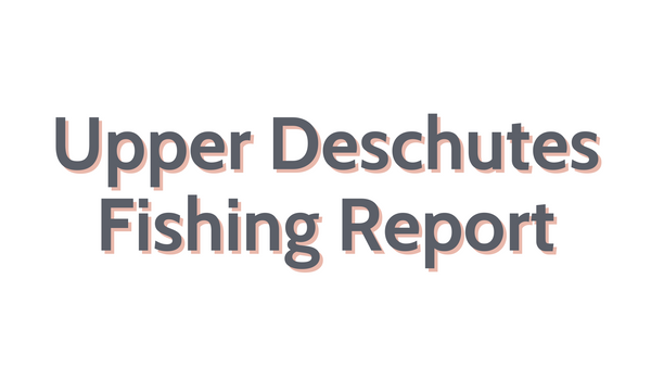 Upper Deschutes Update November 11, 2022
