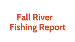 Fall River Update August 5, 2022