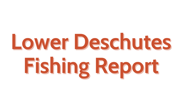 Lower Deschutes Update August 5, 2022