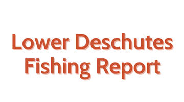 Lower Deschutes Update August 5, 2022