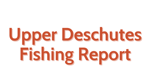 Upper Deschutes Update August 5, 2022