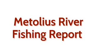 Metolius River Update August 12, 2022