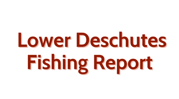 Lower Deschutes Update August 12, 2022