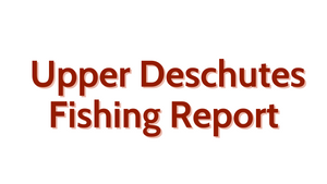 Upper Deschutes Update August 12, 2022