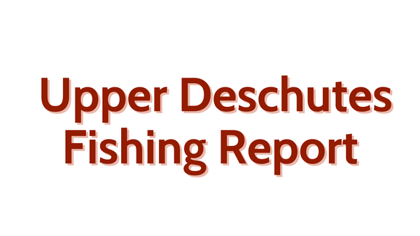 Upper Deschutes Update August 12, 2022