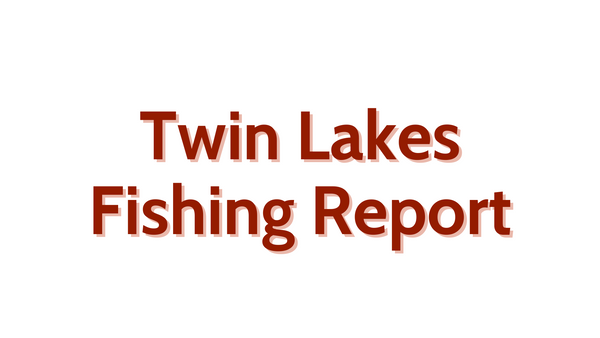Twin Lakes Update August 12, 2022