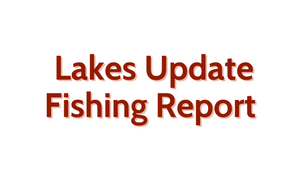 Lakes Update August 12, 2022