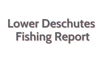 Lower Deschutes Update August 19, 2022