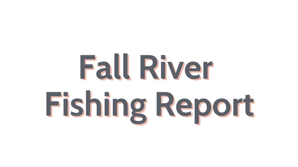 Fall River Update August 19, 2022