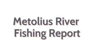 Metolius River Update August 19, 2022