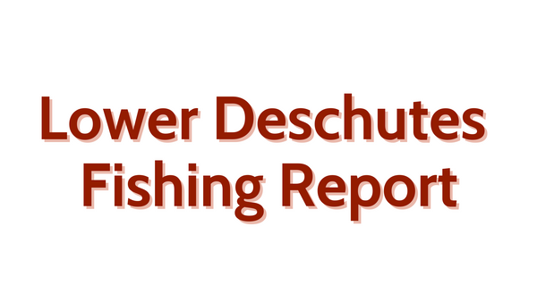 Lower Deschutes Update August 26, 2022