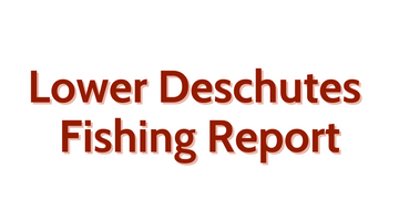 Lower Deschutes Update August 26, 2022