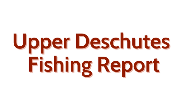 Upper Deschutes Update August 26, 2022