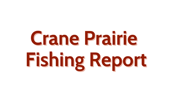 Crane Prairie Update Augsut 26, 2022