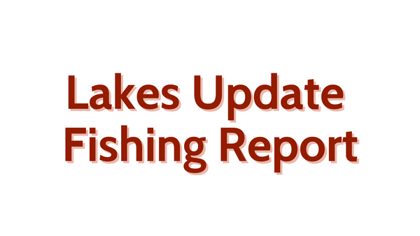 Lakes Update August 26, 2022