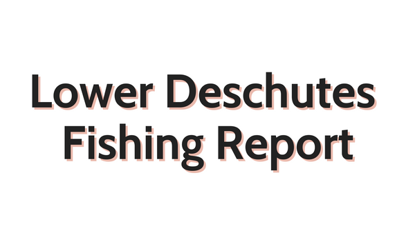 Lower Deschutes Update September 2, 2022
