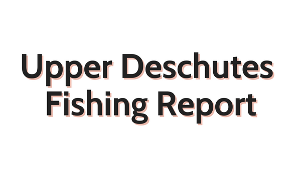 Upper Deschutes Update September 2, 2022