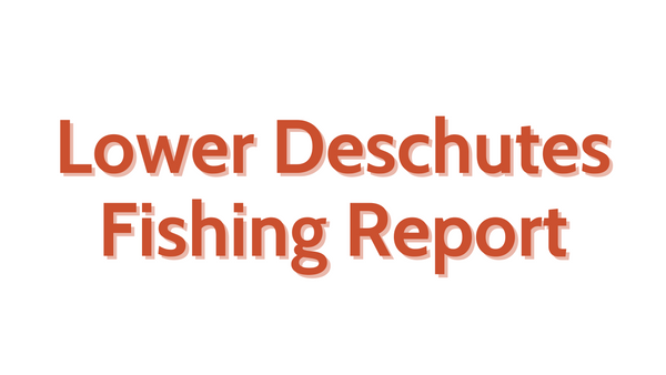 Lower Deschutes Update September 9, 2022